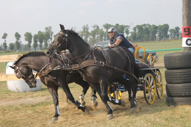 Wielka reaktywacja w Podrzeczu - zdjęcia