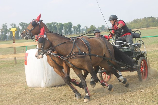 Wielka reaktywacja w Podrzeczu - zdjęcia