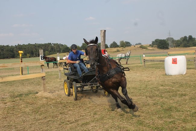 Wielka reaktywacja w Podrzeczu - zdjęcia