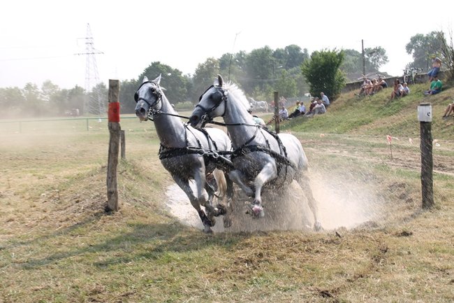 Wielka reaktywacja w Podrzeczu - zdjęcia