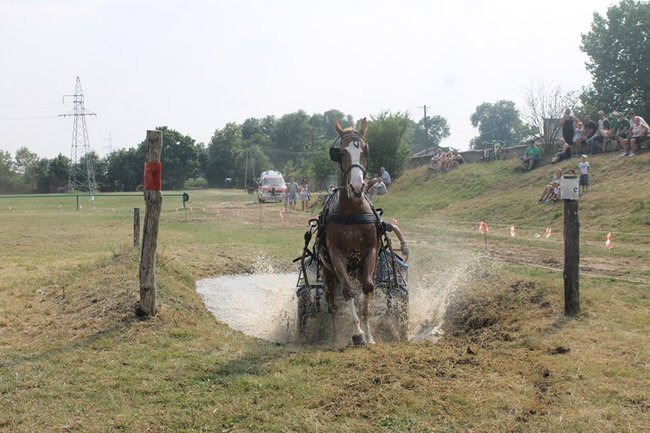Wielka reaktywacja w Podrzeczu - zdjęcia