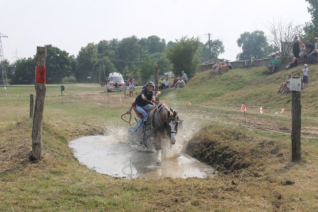 Wielka reaktywacja w Podrzeczu - zdjęcia