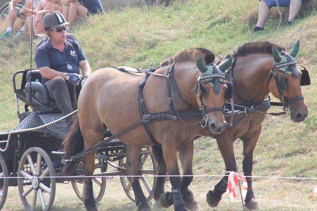Wielka reaktywacja w Podrzeczu - zdjęcia