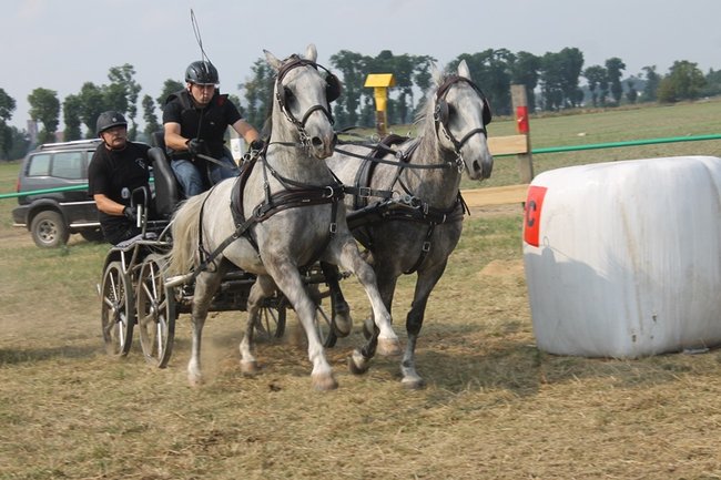 Wielka reaktywacja w Podrzeczu - zdjęcia