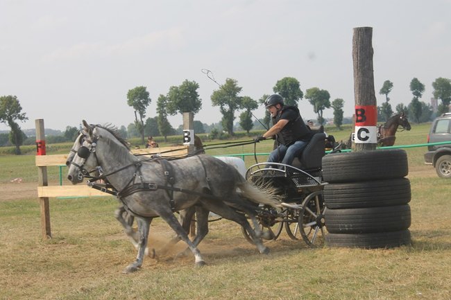 Wielka reaktywacja w Podrzeczu - zdjęcia
