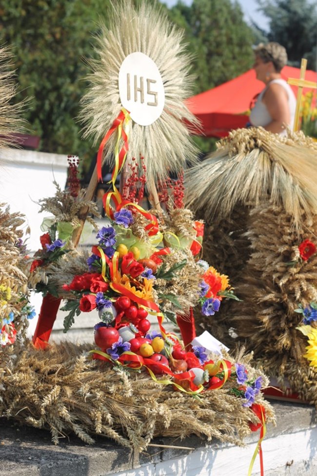 Zdradzają tajemnicę sukcesu - zdjęcia