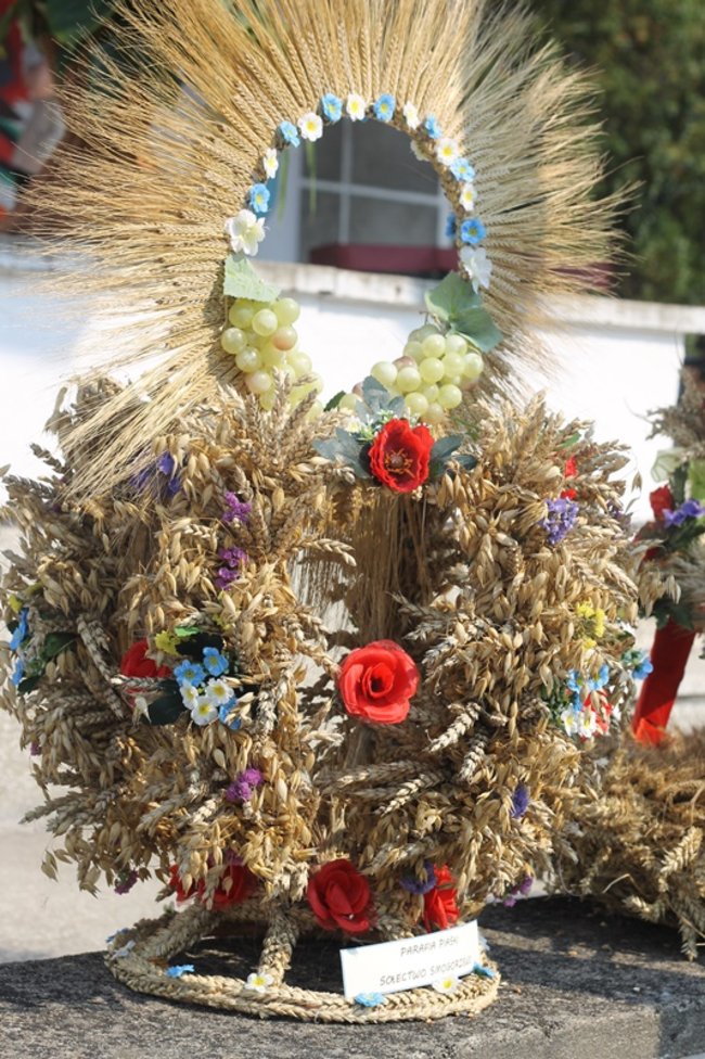 Zdradzają tajemnicę sukcesu - zdjęcia