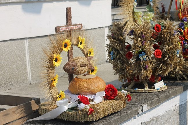 Zdradzają tajemnicę sukcesu - zdjęcia