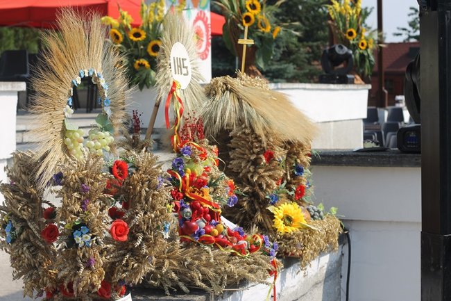 Zdradzają tajemnicę sukcesu - zdjęcia