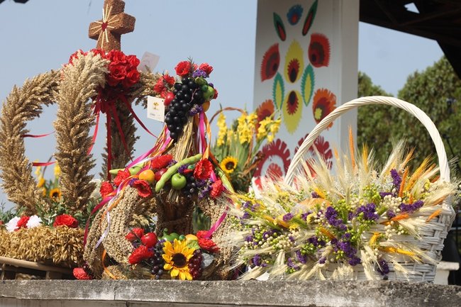 Zdradzają tajemnicę sukcesu - zdjęcia