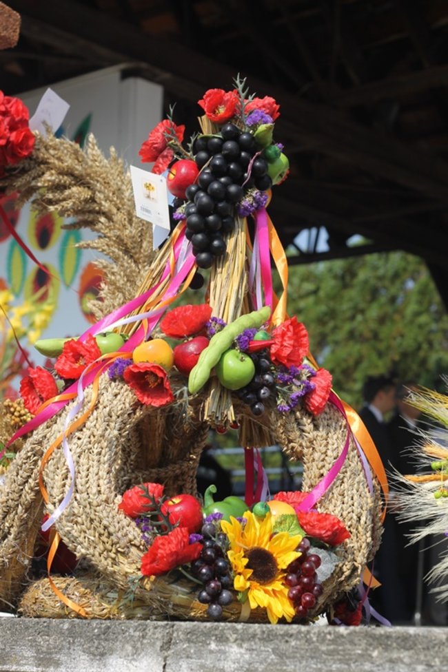 Zdradzają tajemnicę sukcesu - zdjęcia