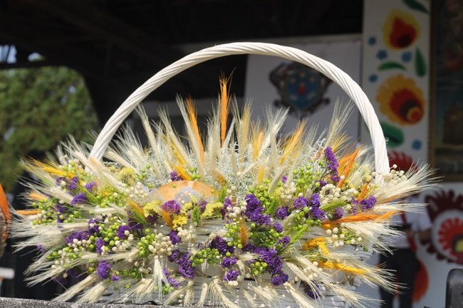 Zdradzają tajemnicę sukcesu - zdjęcia