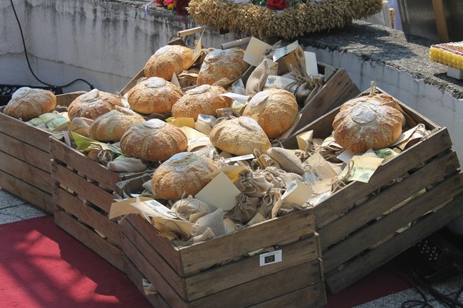 Podziękowali za plony - zdjęcia