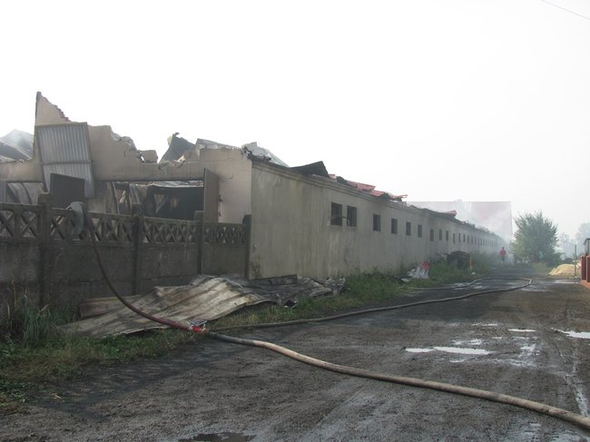 Tego się nie da opisać... - zdjęcia