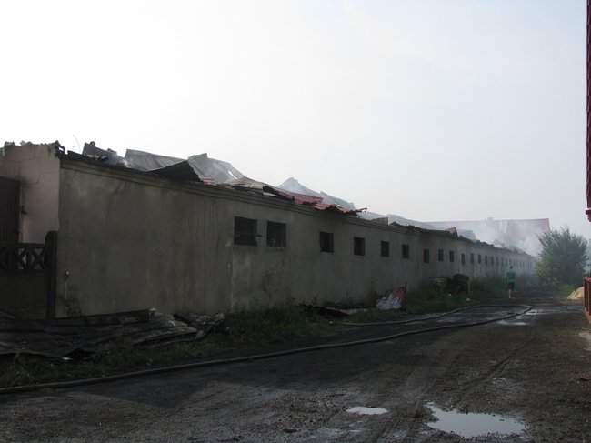 Tego się nie da opisać... - zdjęcia