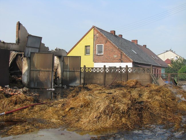 Tego się nie da opisać... - zdjęcia