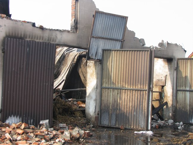 Tego się nie da opisać... - zdjęcia