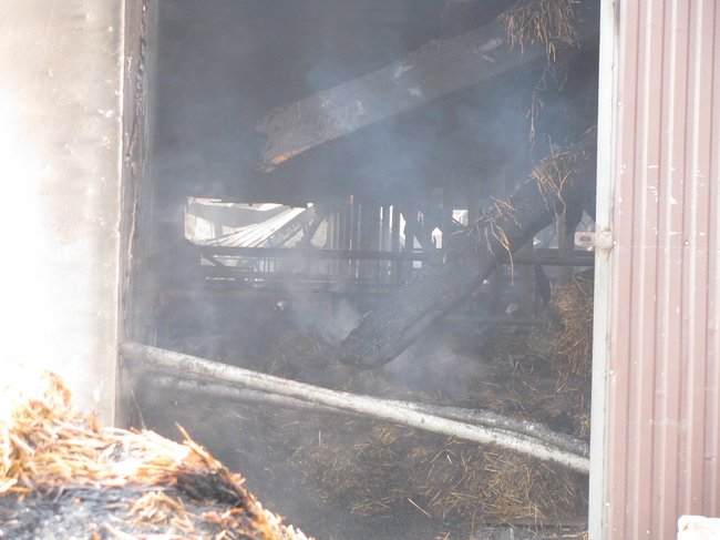 Tego się nie da opisać... - zdjęcia