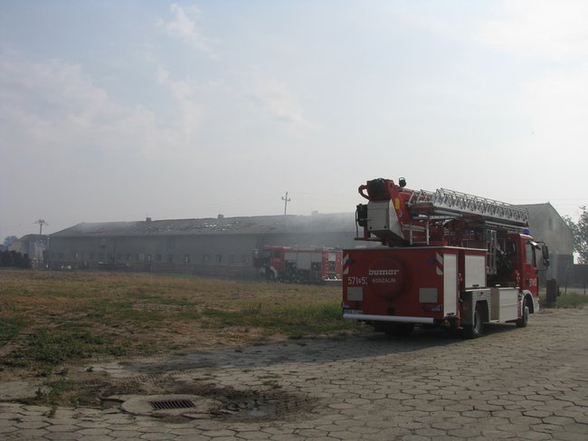 Tego się nie da opisać... - zdjęcia