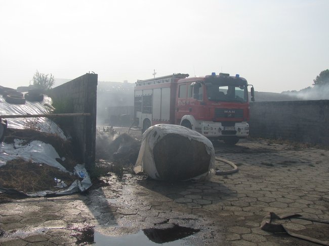 Tego się nie da opisać... - zdjęcia