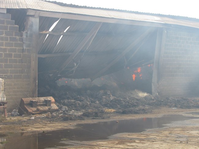 Tego się nie da opisać... - zdjęcia