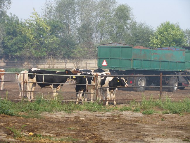 Tego się nie da opisać... - zdjęcia