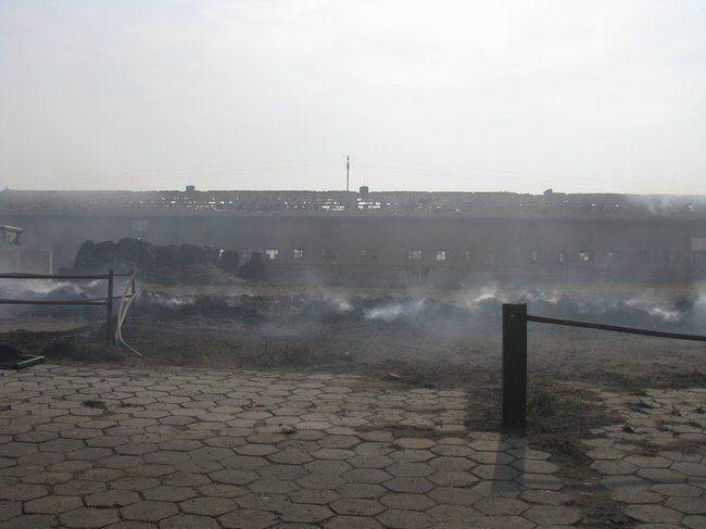 Tego się nie da opisać... - zdjęcia