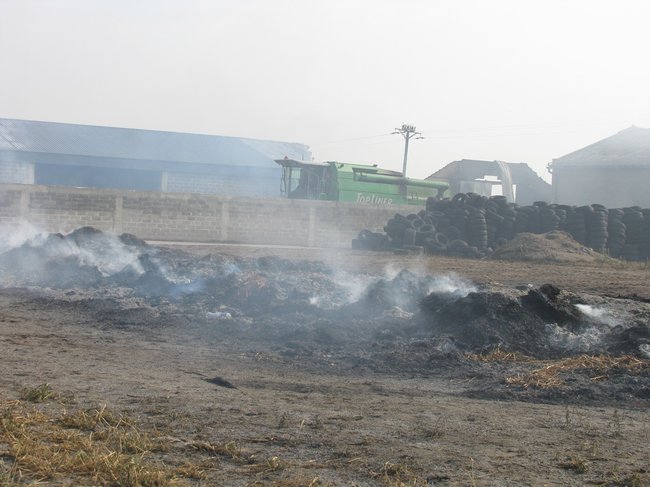 Tego się nie da opisać... - zdjęcia