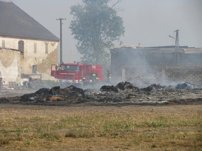 Tego się nie da opisać... - zdjęcia