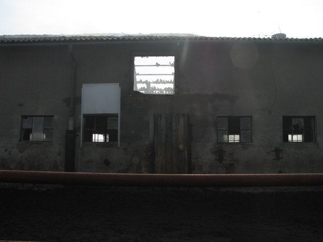 Tego się nie da opisać... - zdjęcia