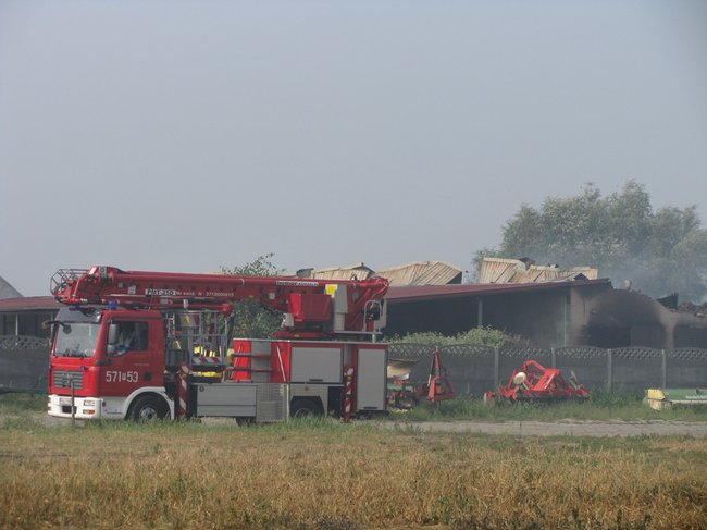 Tego się nie da opisać... - zdjęcia