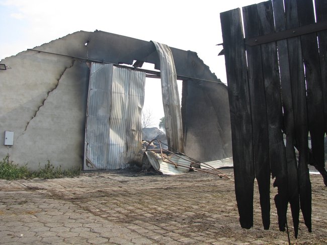 Tego się nie da opisać... - zdjęcia