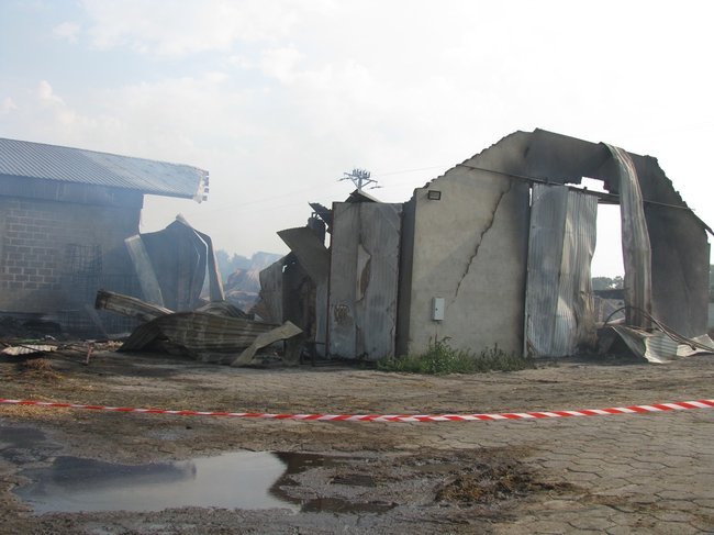 Tego się nie da opisać... - zdjęcia