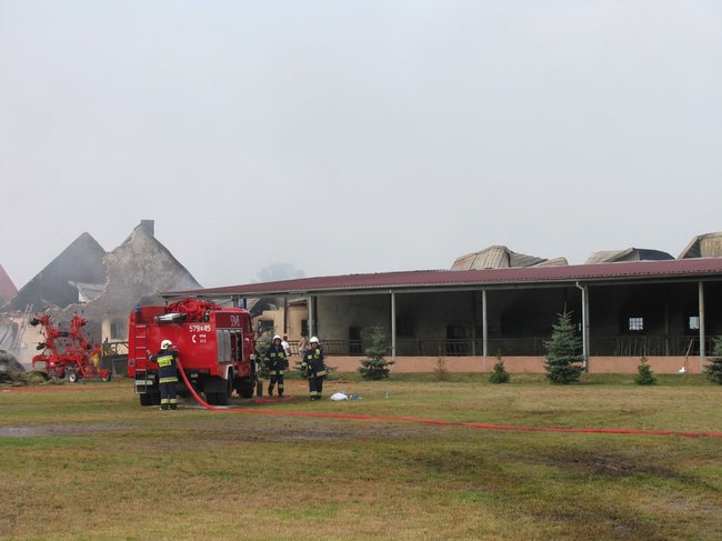 Tego się nie da opisać... - zdjęcia