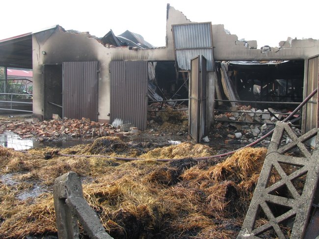 Tego się nie da opisać... - zdjęcia