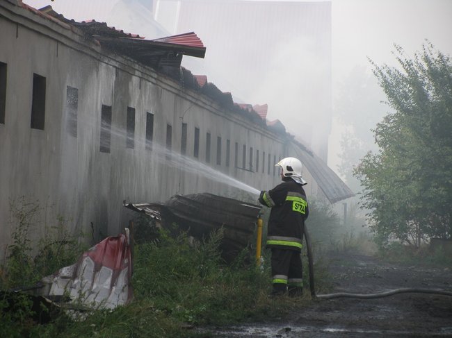 Tego się nie da opisać... - zdjęcia