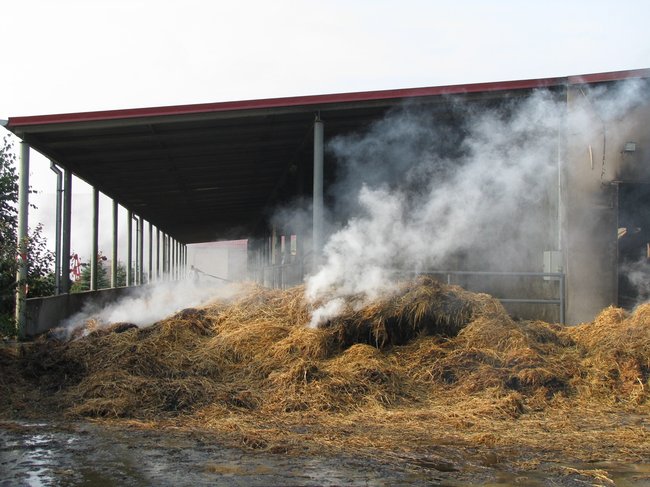 Tego się nie da opisać... - zdjęcia