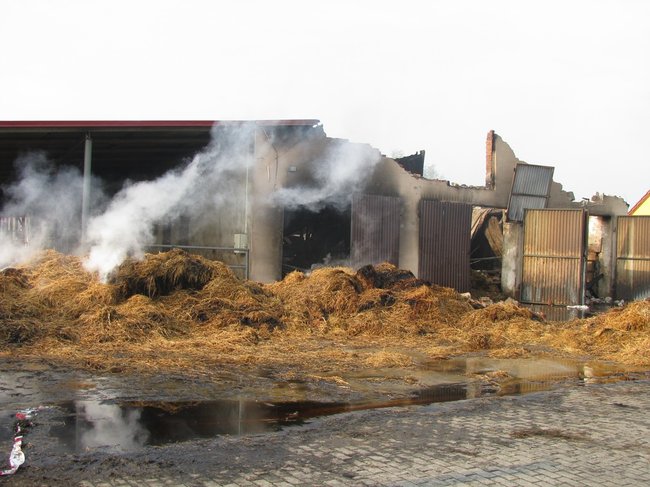 Tego się nie da opisać... - zdjęcia