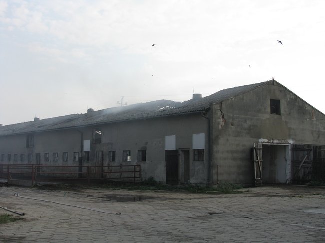 Tego się nie da opisać... - zdjęcia