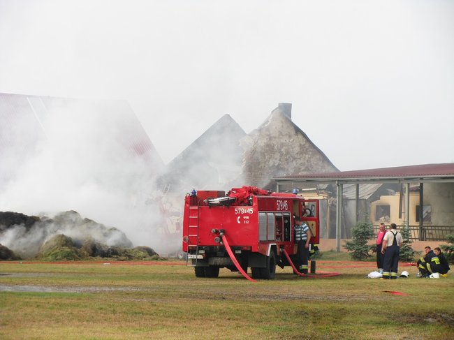 Tego się nie da opisać... - zdjęcia