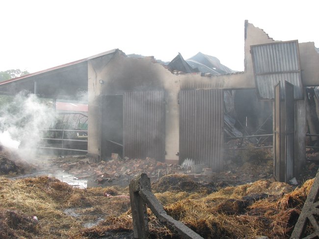 Tego się nie da opisać... - zdjęcia