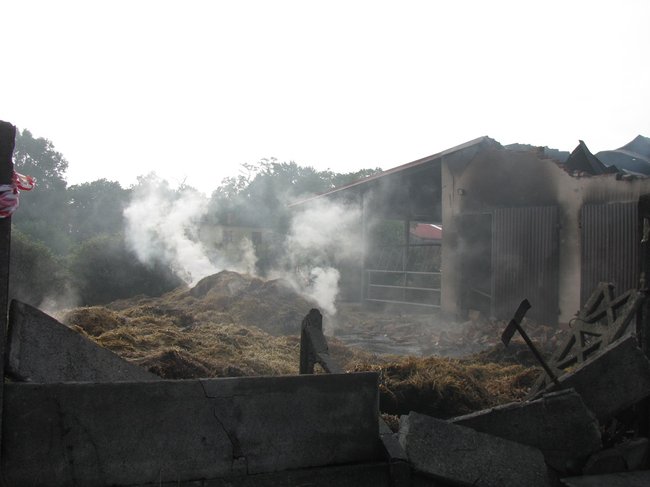 Tego się nie da opisać... - zdjęcia
