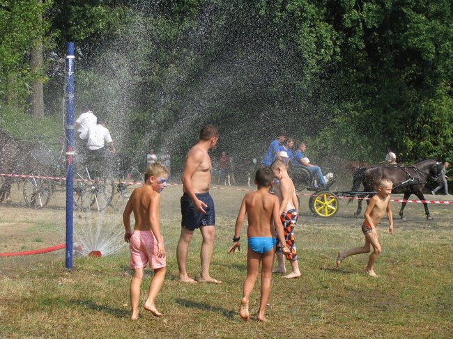 Konne zmagania w pełnym słońcu - zdjęcia
