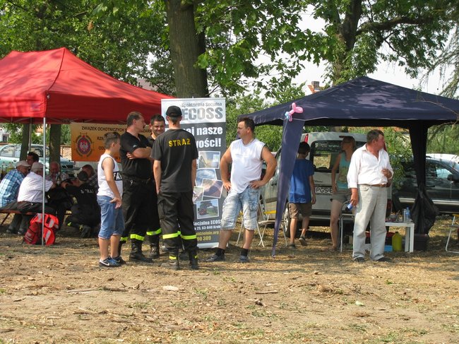 Konne zmagania w pełnym słońcu - zdjęcia