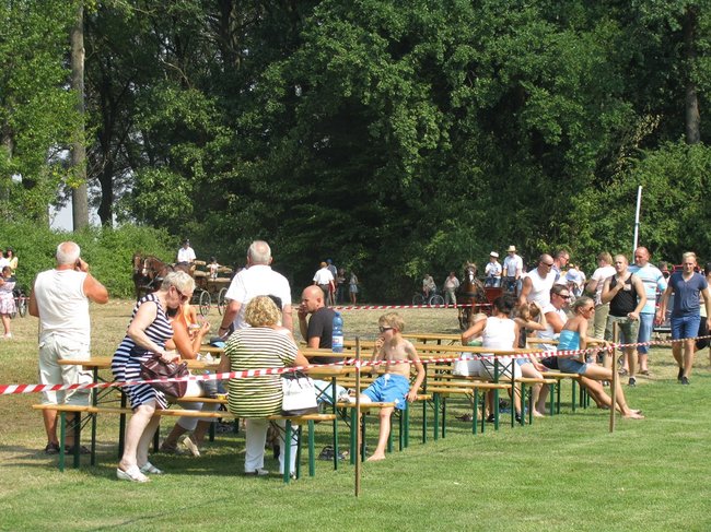 Konne zmagania w pełnym słońcu - zdjęcia