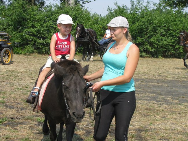 Konne zmagania w pełnym słońcu - zdjęcia