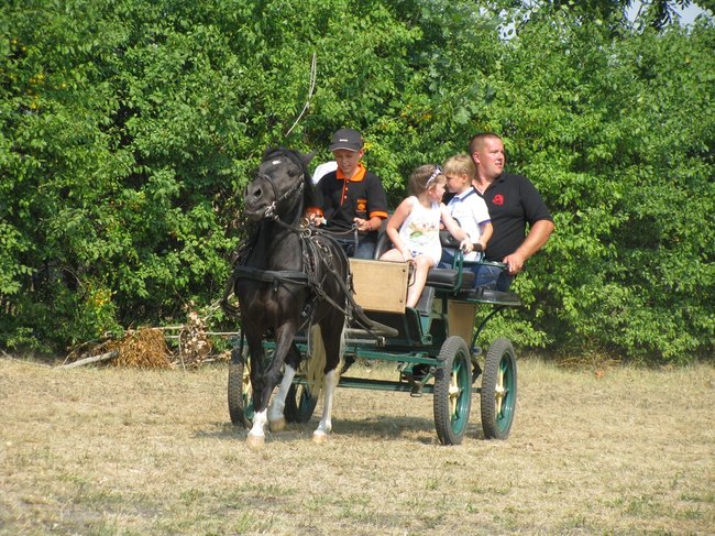 Konne zmagania w pełnym słońcu - zdjęcia