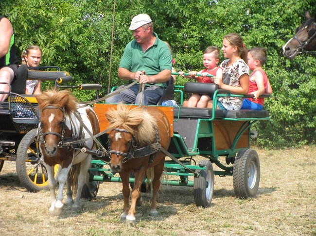 Konne zmagania w pełnym słońcu - zdjęcia