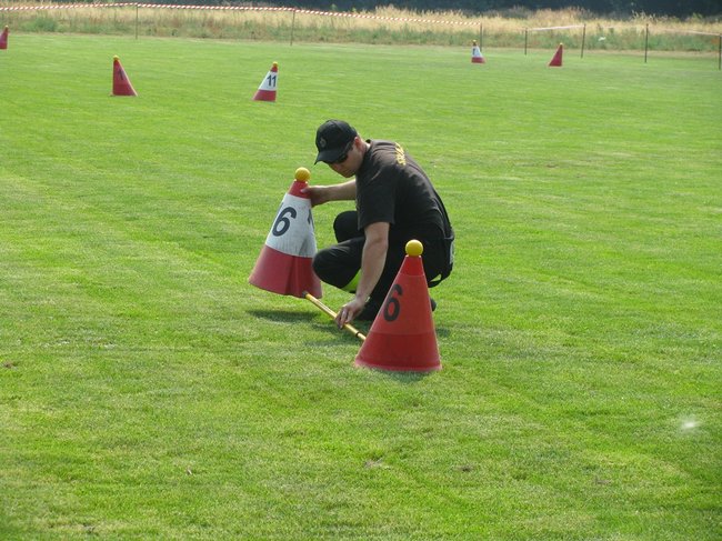 Konne zmagania w pełnym słońcu - zdjęcia