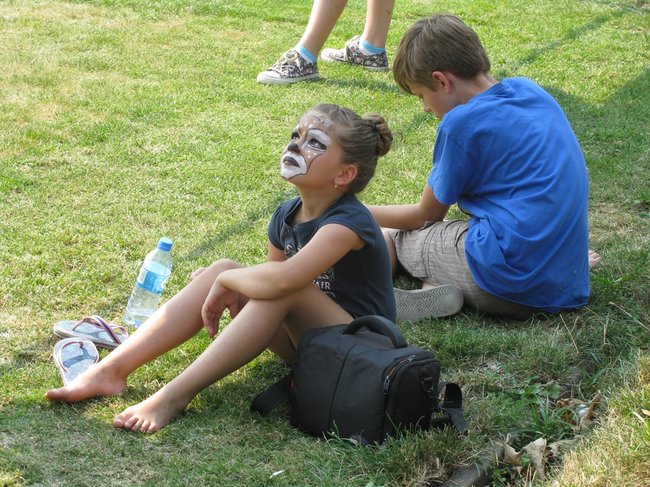 Konne zmagania w pełnym słońcu - zdjęcia